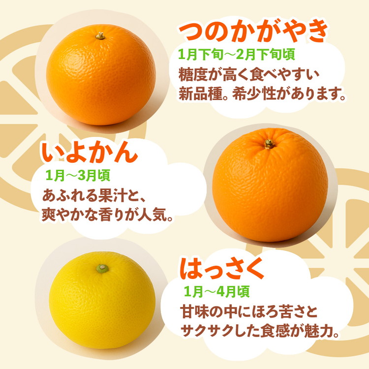 ＜1月より発送＞厳選 柑橘詰合せ5kg+250g（傷み補償分）◇【