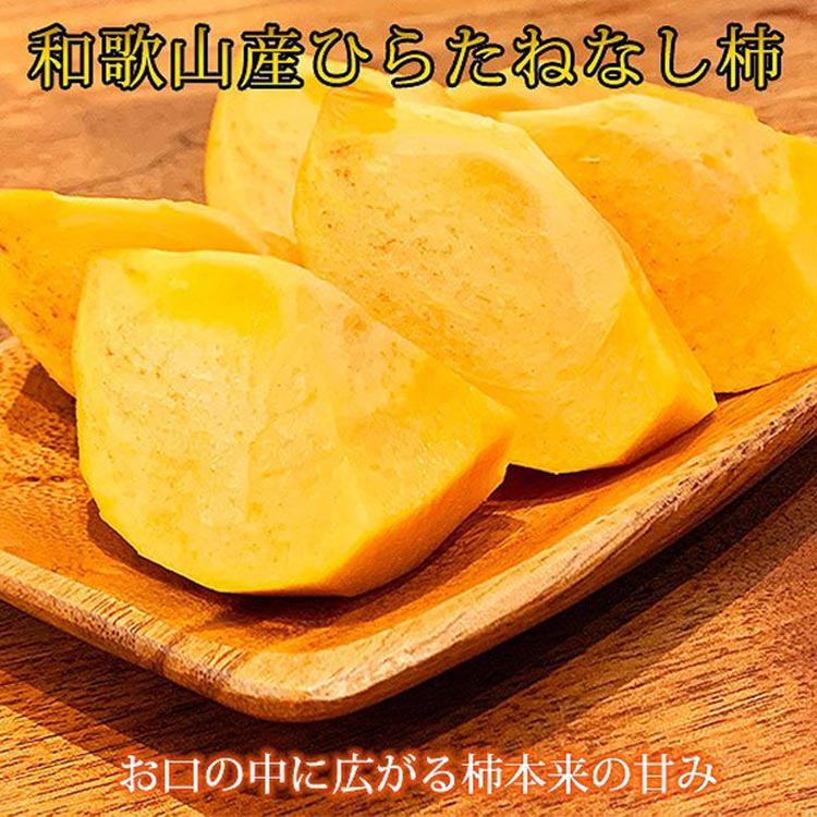 〈定期便〉【2・4・6・8・10・12月 全6回】和歌山産 旬のフル