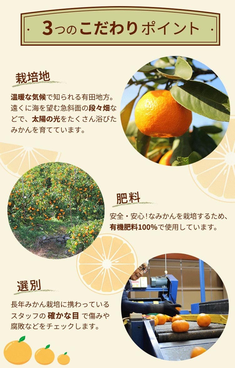 ＼光センサー選別／こだわりの完熟有田みかん 5kg＋150g(傷