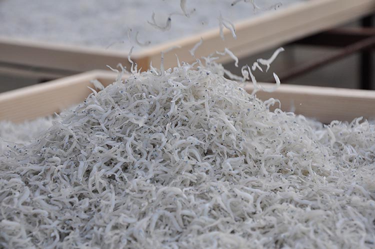 ふるさと天日干しちりめんじゃこ【パック】 200g×2セット  