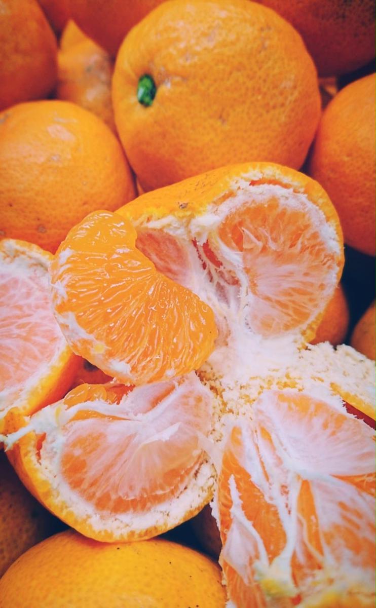 ちっちゃな 有田みかん こつぶみかん 5kg （3S～Sサイズ混合