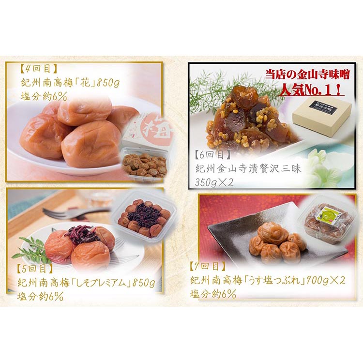 【定期便/毎月配送/全10回】やまだ厳選10品