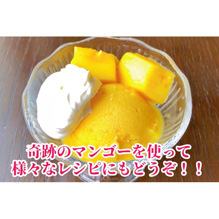 ◆先行予約◆和歌山県産　紀州完熟マンゴー『吉玉』約1kg