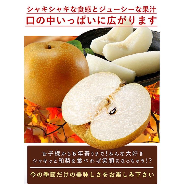 ◆先行予約◆和歌山県産 旬の梨 約4kg ※2025年8月中旬～9月