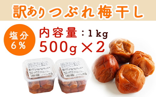 梅干し 無添加 訳あり はちみつ梅干1kg（500g×2） 紀州梅香 
