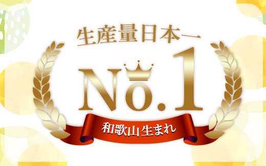 【まごころ手選別】和歌山産 有田みかん 4kg (2S～Lサイズ混