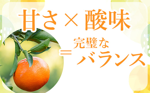 【まごころ手選別】和歌山産 有田みかん 3kg 家庭用(2S～2Lサ