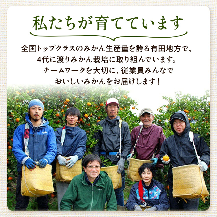 〈定期便〉【10・11・12月 全3回】家庭用 有田みかん定期便 1