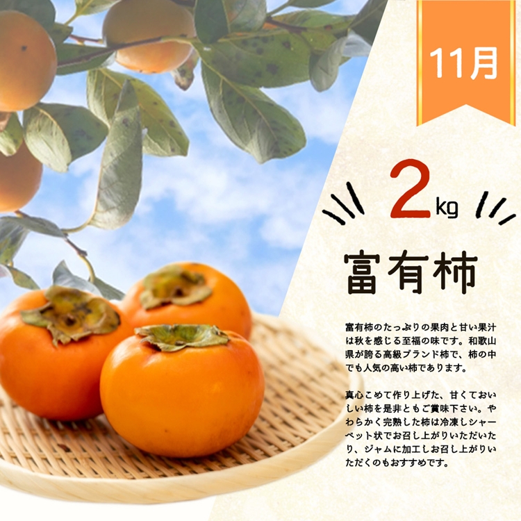 〈定期便〉【7・8・10・11月 全4回】紀州和歌山産旬のフルー