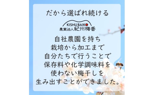 訳あり 無添加 梅干し 紀州梅香の減塩3%つぶれ梅 約1kg(500g x 