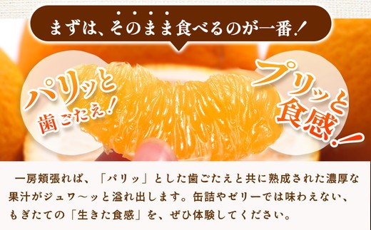 厳選 はっさく1kg+250g（傷み補償分）