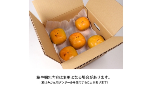 家庭用 訳あり たねなし 柿 2.5kg 【刀根早生・平核無柿（ひ