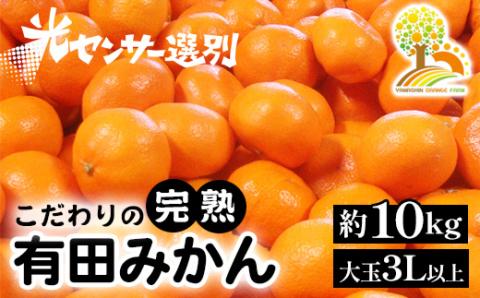 有田みかん 約10kg 大玉3L以上 有機質肥料100% ＼光センサー選別／ 農家直送 ※北海道・沖縄・離島への配送不可 ※2025年11月中旬～2026年1月上旬頃に順次発送予定