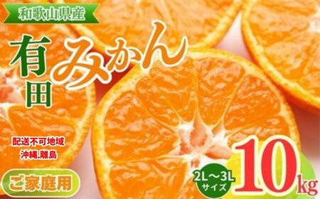 【ご家庭用】和歌山有田みかん約10kg(2L、3Lサイズ)〇 ※2025