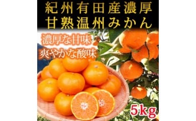 【先行予約】紀州有田産濃厚甘熟温州みかん5kg