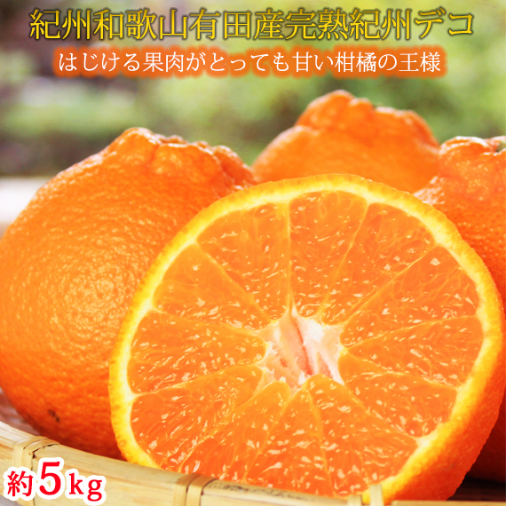 果肉プリプリ♪　完熟紀州デコ(不知火) 約5kg ｜ 柑橘 不知