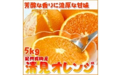 とにかくジューシー清見オレンジ　５kg※2026年3月下旬頃〜2