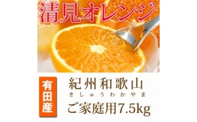 【ご家庭用訳アリ】紀州有田産清見オレンジ　７.５kg
※202