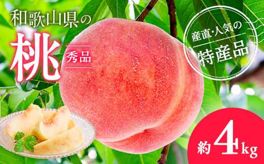 【産直・人気の特産品】和歌山の桃　約4kg・秀品 ｜ モモ 