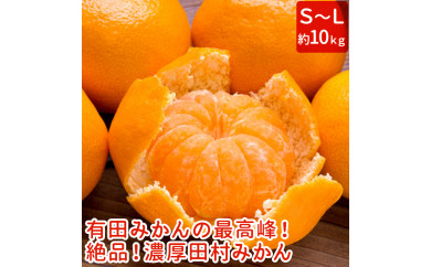 【和歌山特産品】【プレミアムブランド】絶品!田村みかん 