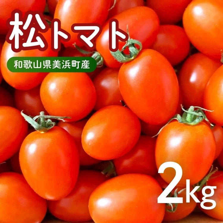 美浜町産　松トマト（アイコ）2Kg｜ミニトマト とまと 野菜