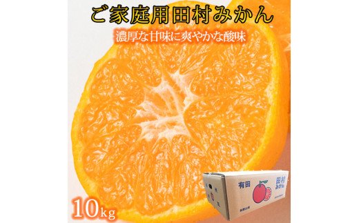 【先行予約】【ご家庭用訳あり】田村みかん　１０kg