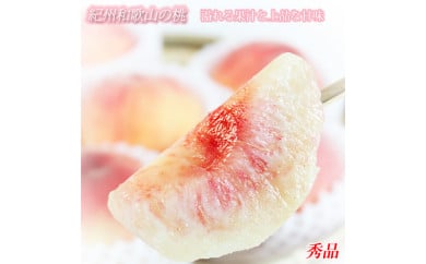 紀州和歌山産の桃 約1.8kg 化粧箱入 ◇｜ もも モモ 桃 国産 