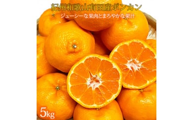 紀州和歌山有田産ポンカン 5kg ※2026年2月上旬〜2月下旬頃に