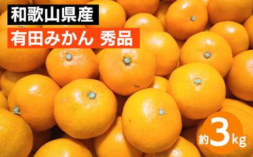 和歌山県産 有田みかん 約3kg 秀品 ※2025年10月中旬～2026年1