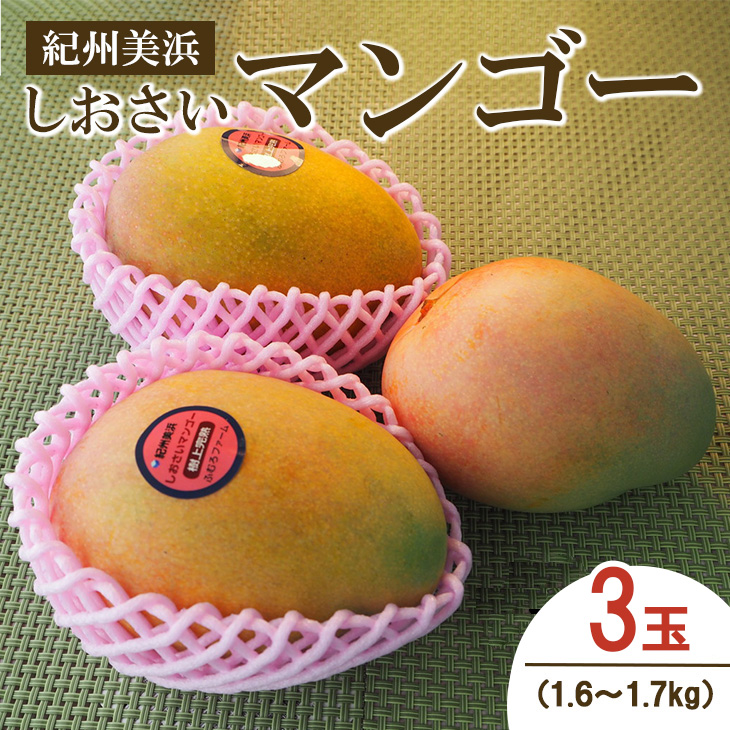 紀州美浜しおさいマンゴー3玉（1.6～1.7kg）
※着日指定不可