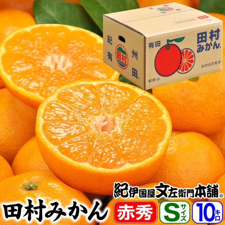 田村みかん/特選ギフト品10kg【Sサイズ】赤秀｜湯浅町田村