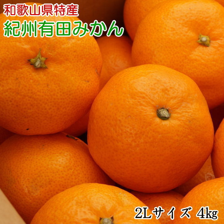 [秀品]和歌山有田みかん4kg(2Lサイズ) ※2025年11月中旬～2026年