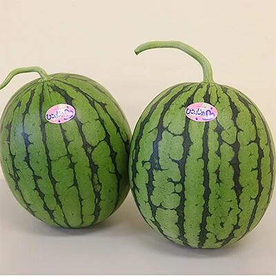 とっても甘い！食べきりサイズの小玉スイカ ひとりじめ 2