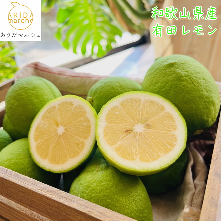 【先行予約】【国産】農家直送！ 有田レモン 2kg◇ ※北海