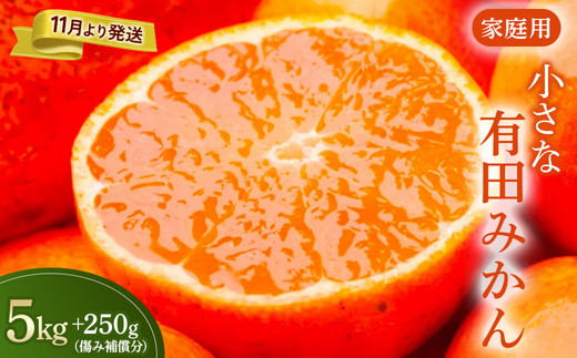 家庭用 小玉な有田みかん5kg+250g（傷み補償分）【わけあり
