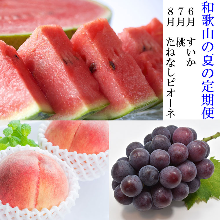 〈定期便〉【6・7・8月 全3回】和歌山の夏の人気フルーツ（