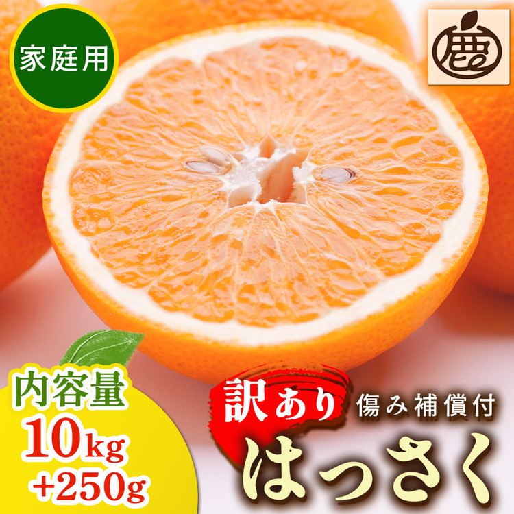 ＜1月より発送＞家庭用 はっさく10kg+250g（傷み補償分） ｜ 