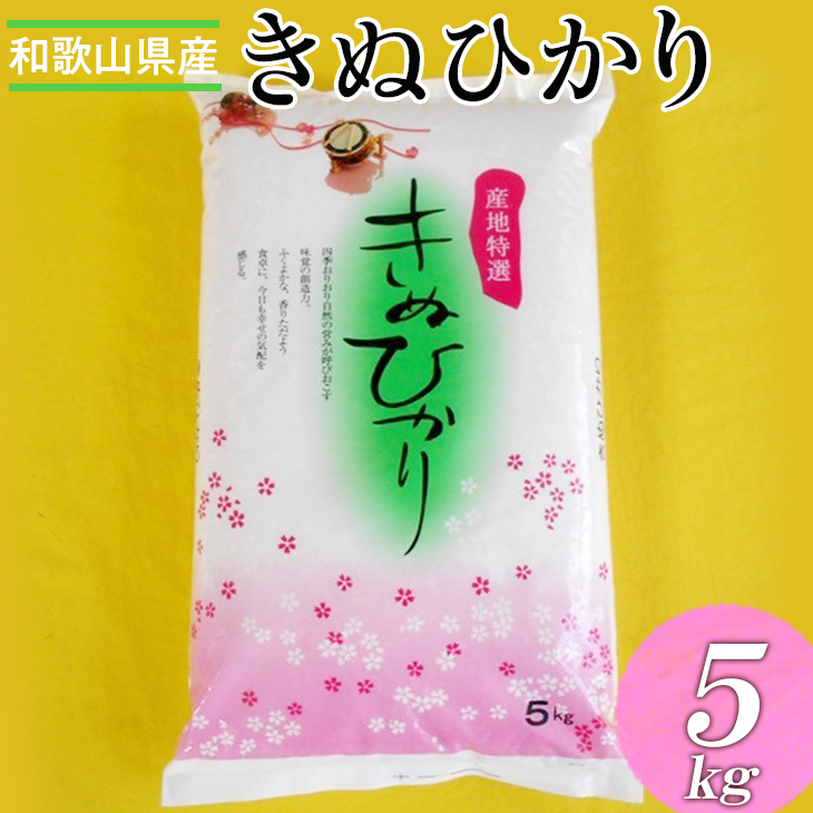 和歌山県産キヌヒカリ  5kg(2025年産) ※2025年9月中旬頃より