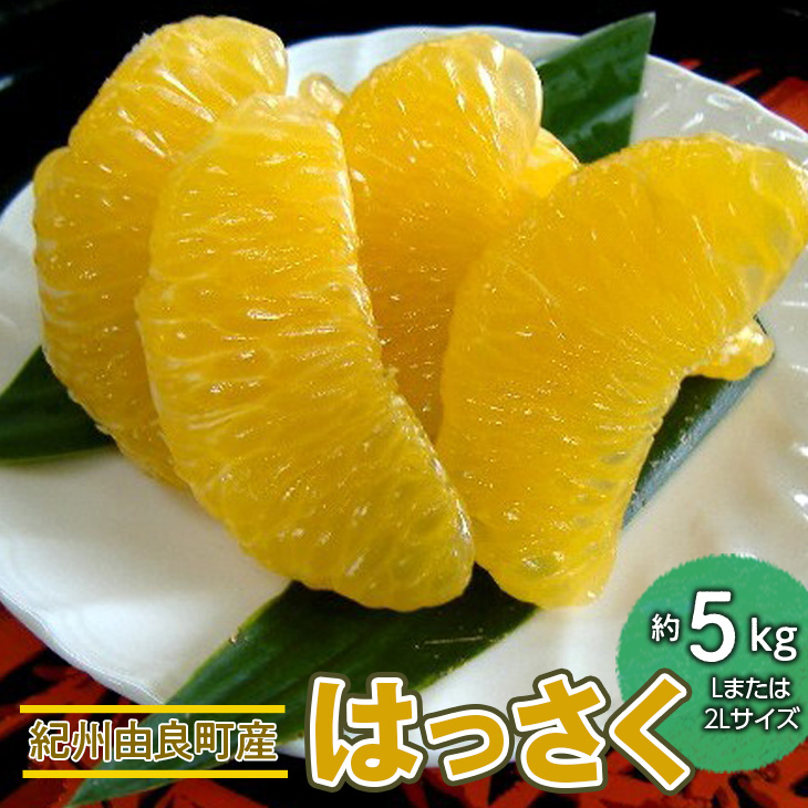 紀州由良町産はっさく（Lまたは2Lサイズ） 約5kg 
※着日指
