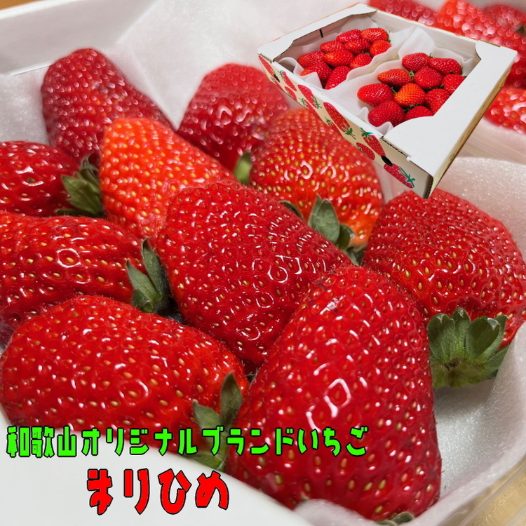 【和歌山ブランド苺】完熟まりひめいちご　2パック【2024年
