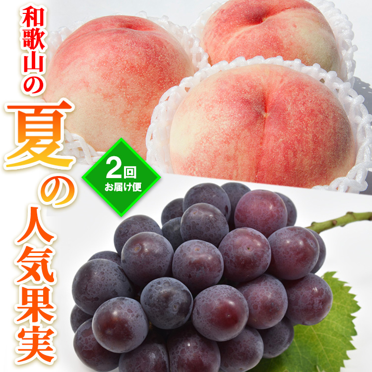 【定期便】和歌山の夏の人気果実2回お届け便
※着日指定