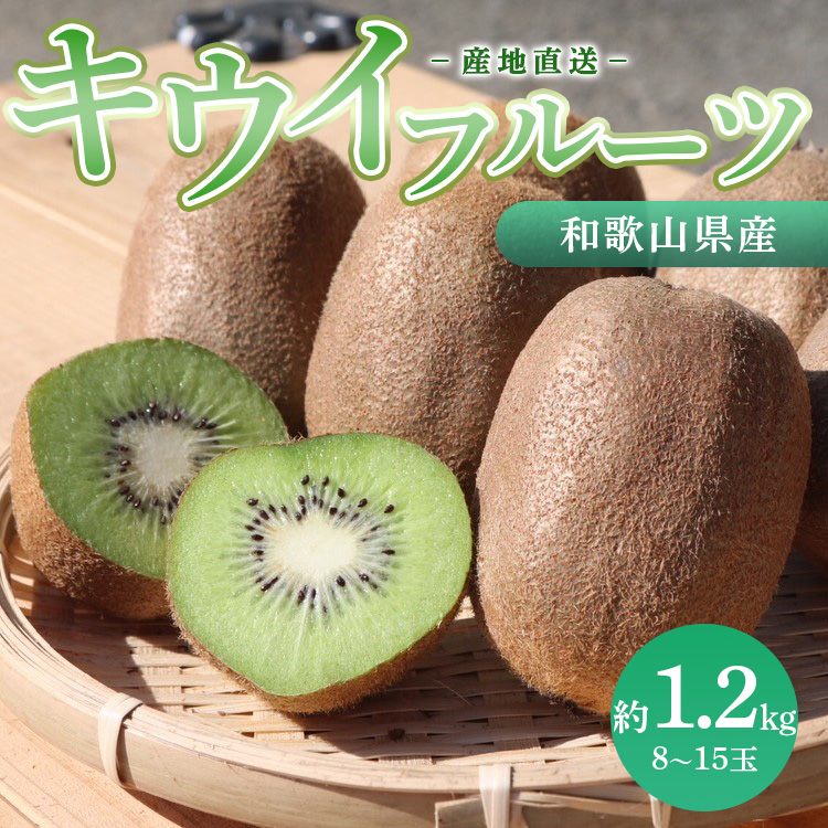 和歌山産 キウイフルーツ 約1.2kg 秀品 ※2026年1月下旬～3月