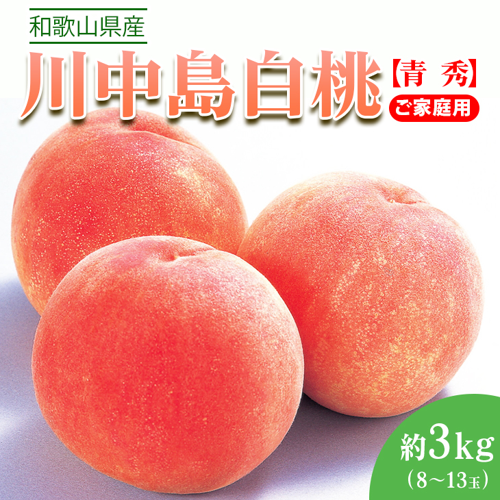 〈先行予約受付〉和歌山県産 川中島白桃 約3kg(8～13玉入)≪