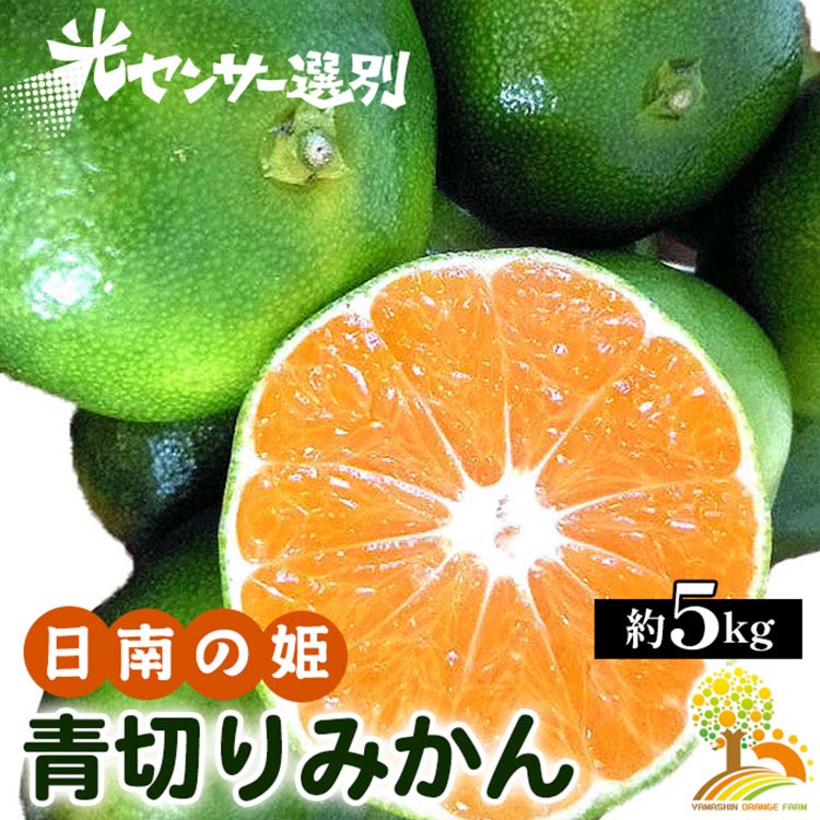 【先行予約】こだわりの青切りみかん 約5kg 農家直送 有機