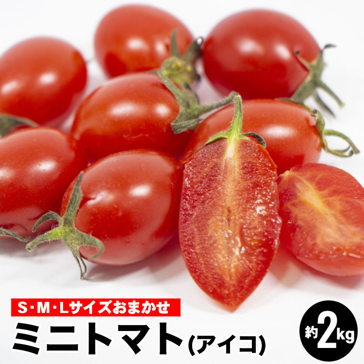 ミニトマトアイコ(松トマト）約2kg（S・M・Lサイズおまかせ