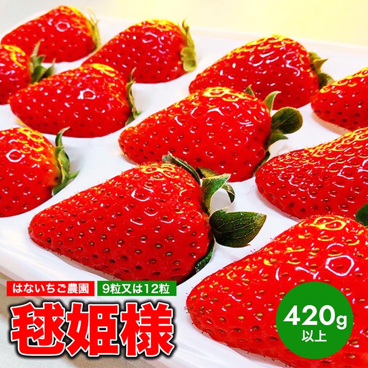 はないちご農園「毬姫様」9粒または12粒
※着日指定不可
