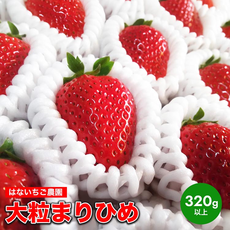 はないちご農園　大粒「まりひめ」
※着日指定不可
※北