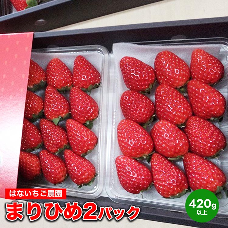 はないちご農園「まりひめ2パック」
※着日指定不可
※北