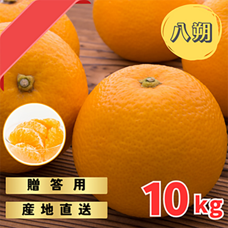 完熟木なりハッサクみかん贈答用特選　10kg箱入 | はっさく 