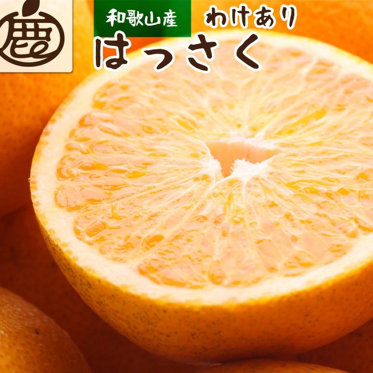 ＜1月より発送＞家庭用 はっさく2.5kg+250g（傷み補償分） ｜ 
